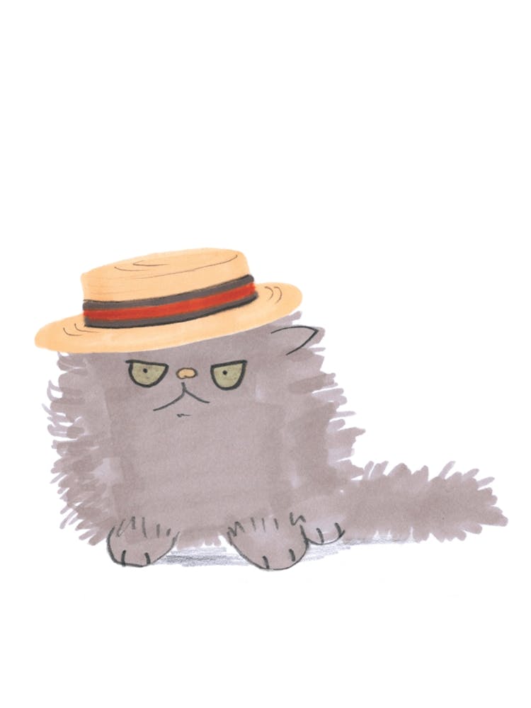 Fluffy Cat In Boater Hat