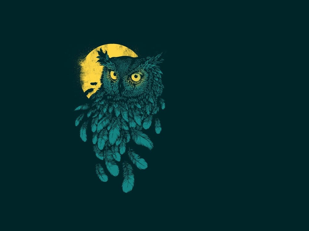 Owl in the dark