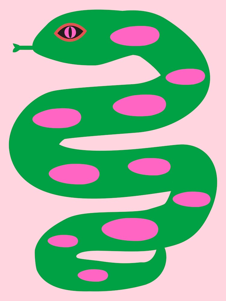 Fun Snake Maximalist