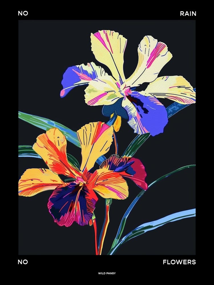 No Rain No Flowers Poster Wild Pansy 2