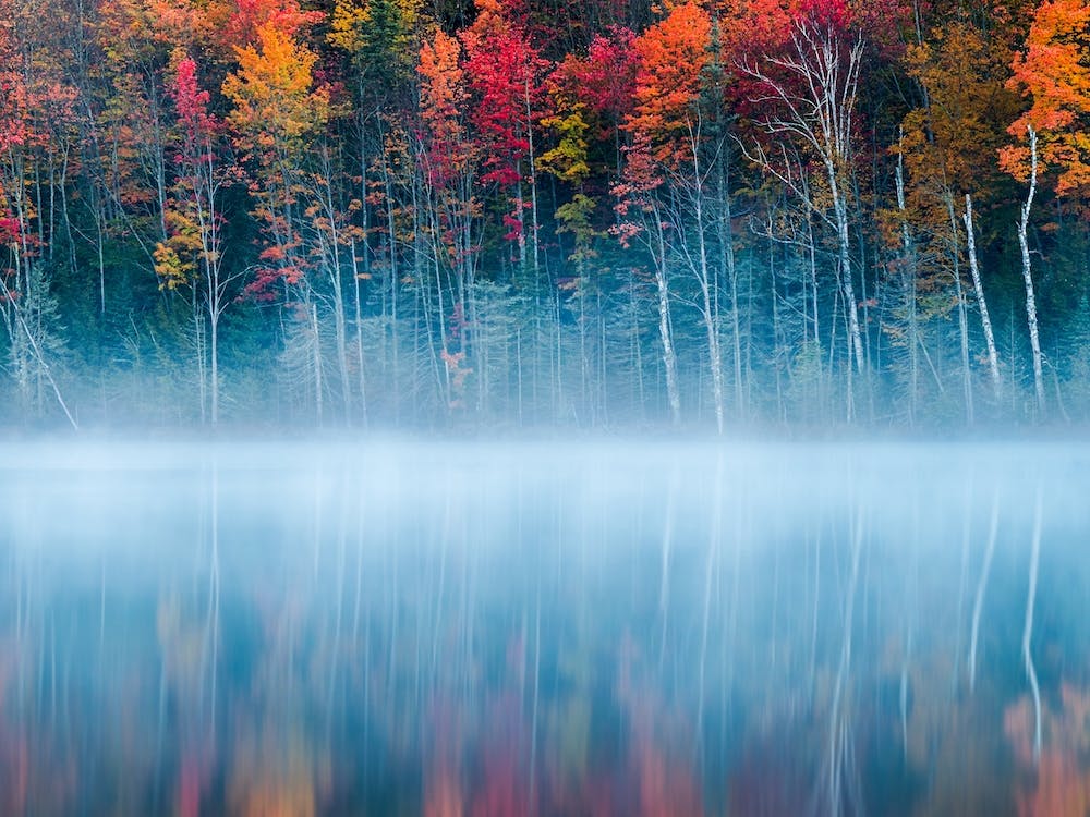 Morning Reflection