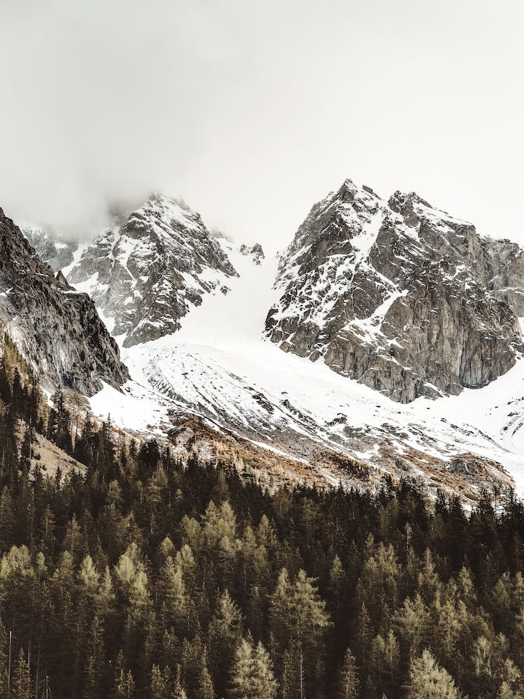 Rustic Colorado Scenery