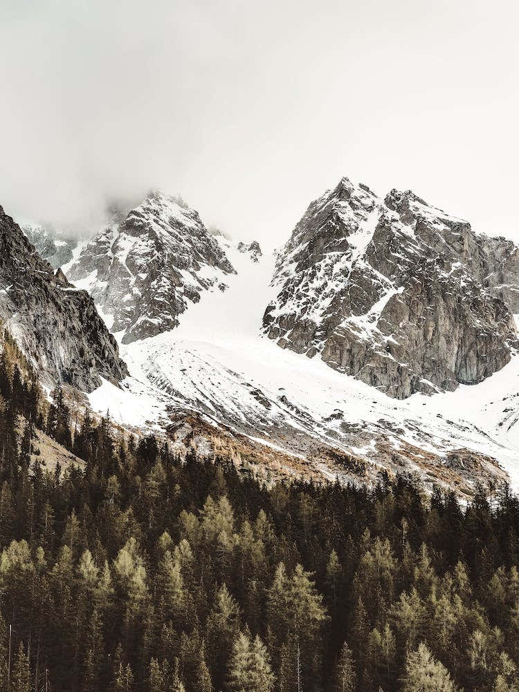 Rustic Colorado Scenery