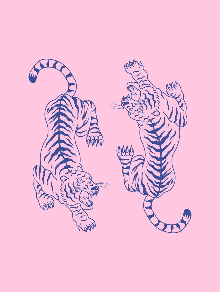 Pink And Blue Tigers
