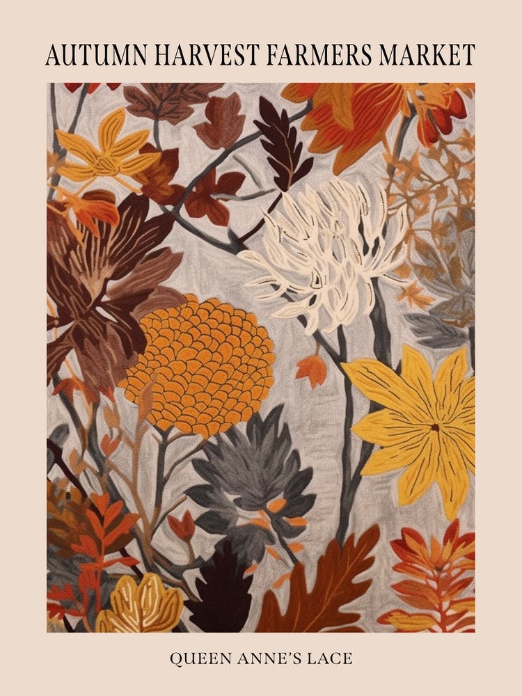 Fall Botanicals Queen Annes Lace 3 Poster