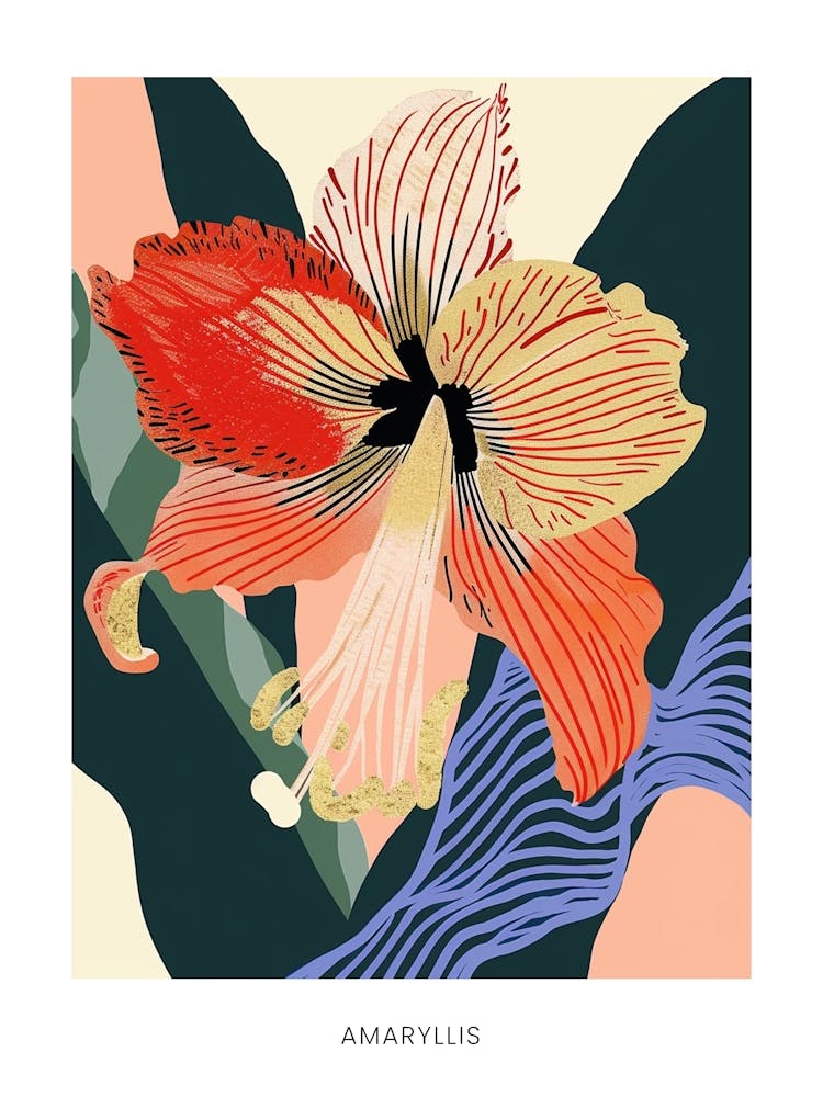 Colourful Flower Illustration Poster Amaryllis 4