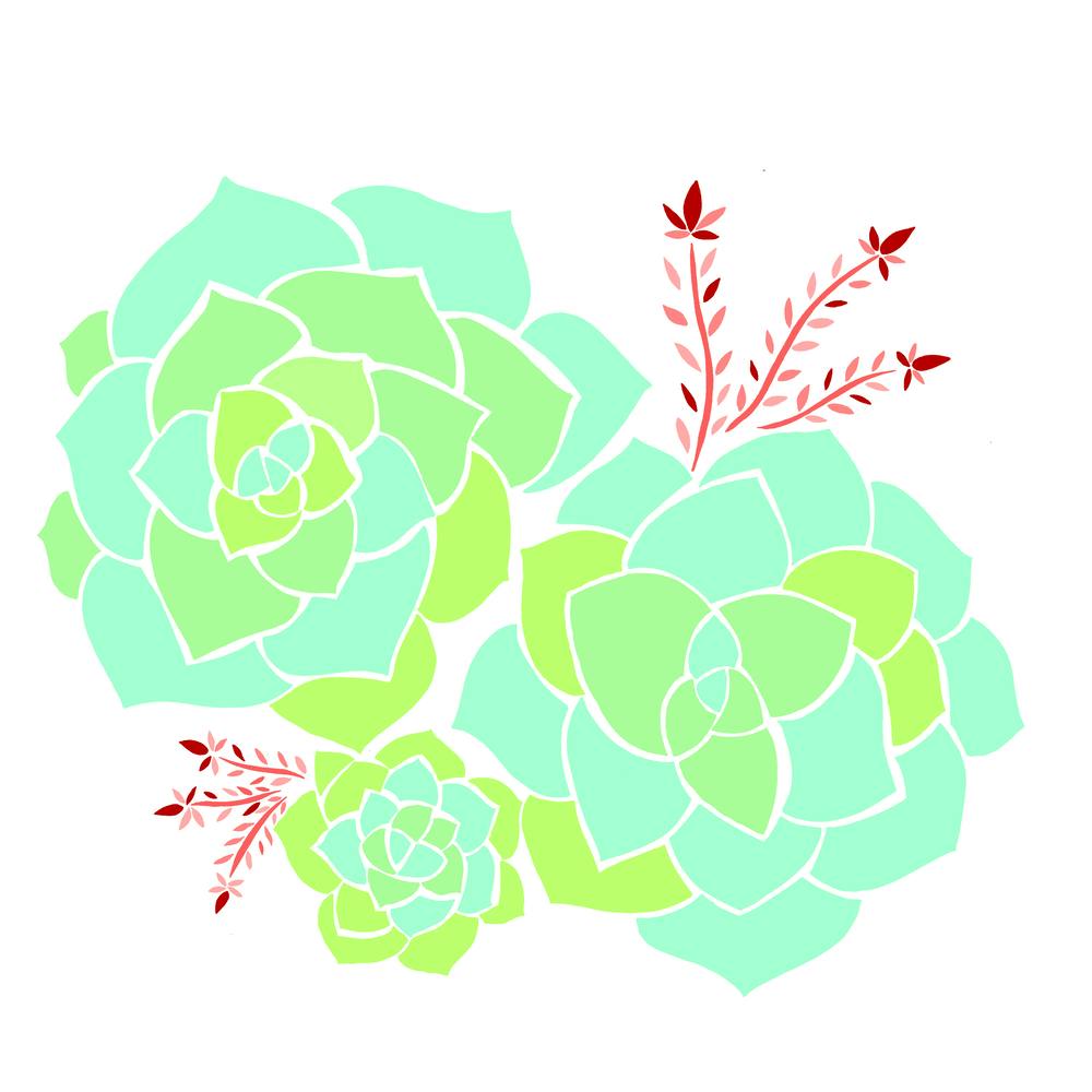 Succulent Story