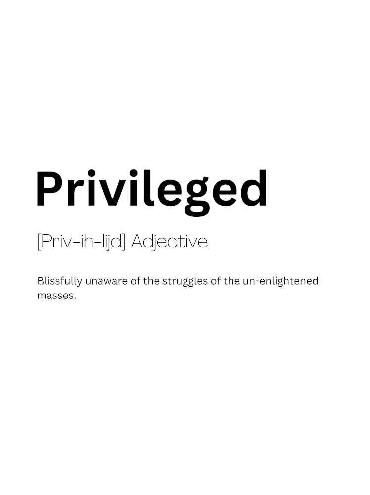 Privileged Definition Meaning 1