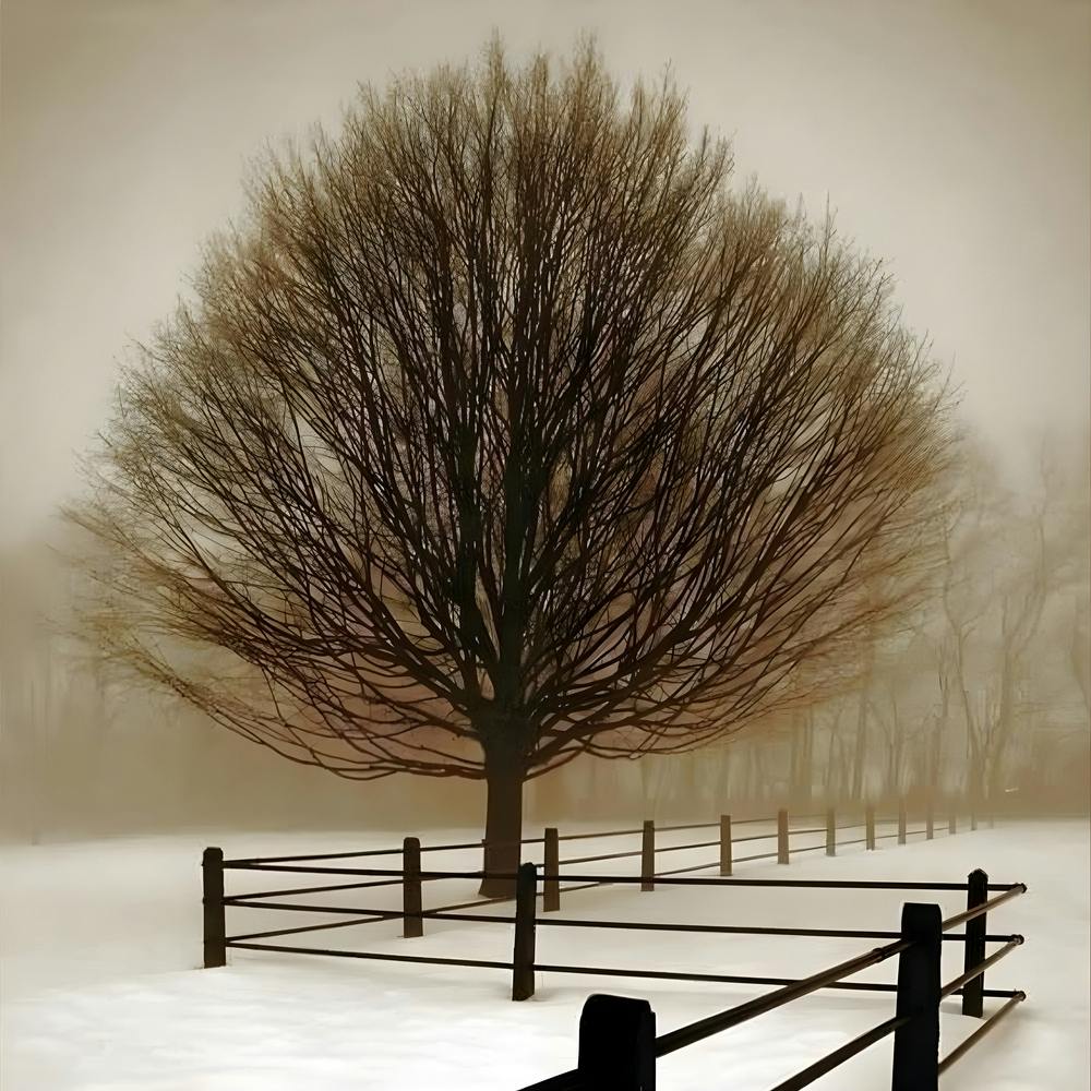 Tree In The Snow Canvas Print