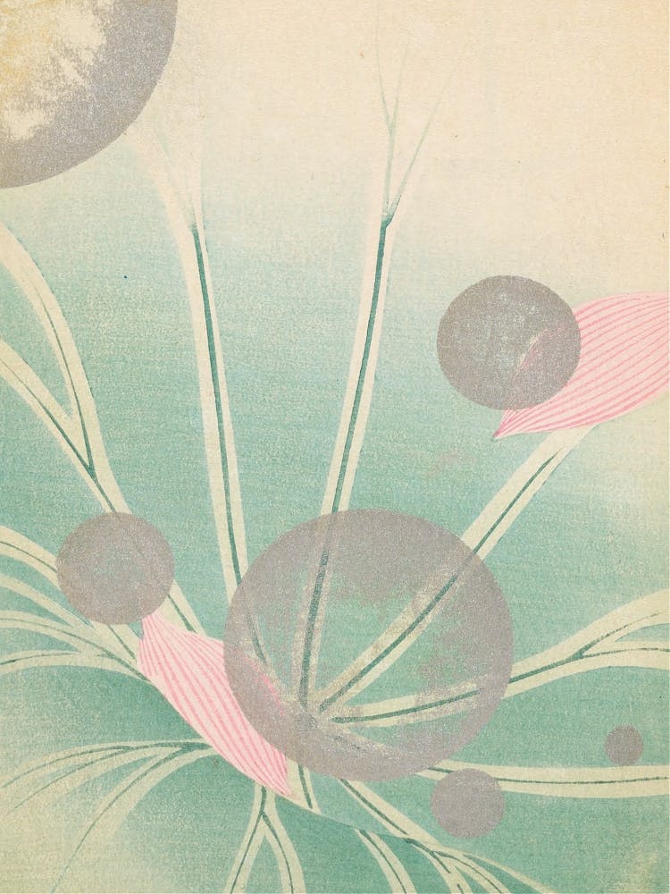 Lily Of The Valley 5