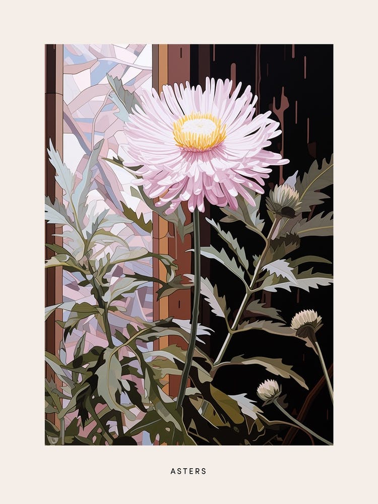 Flower Illustration Asters 8 Poster