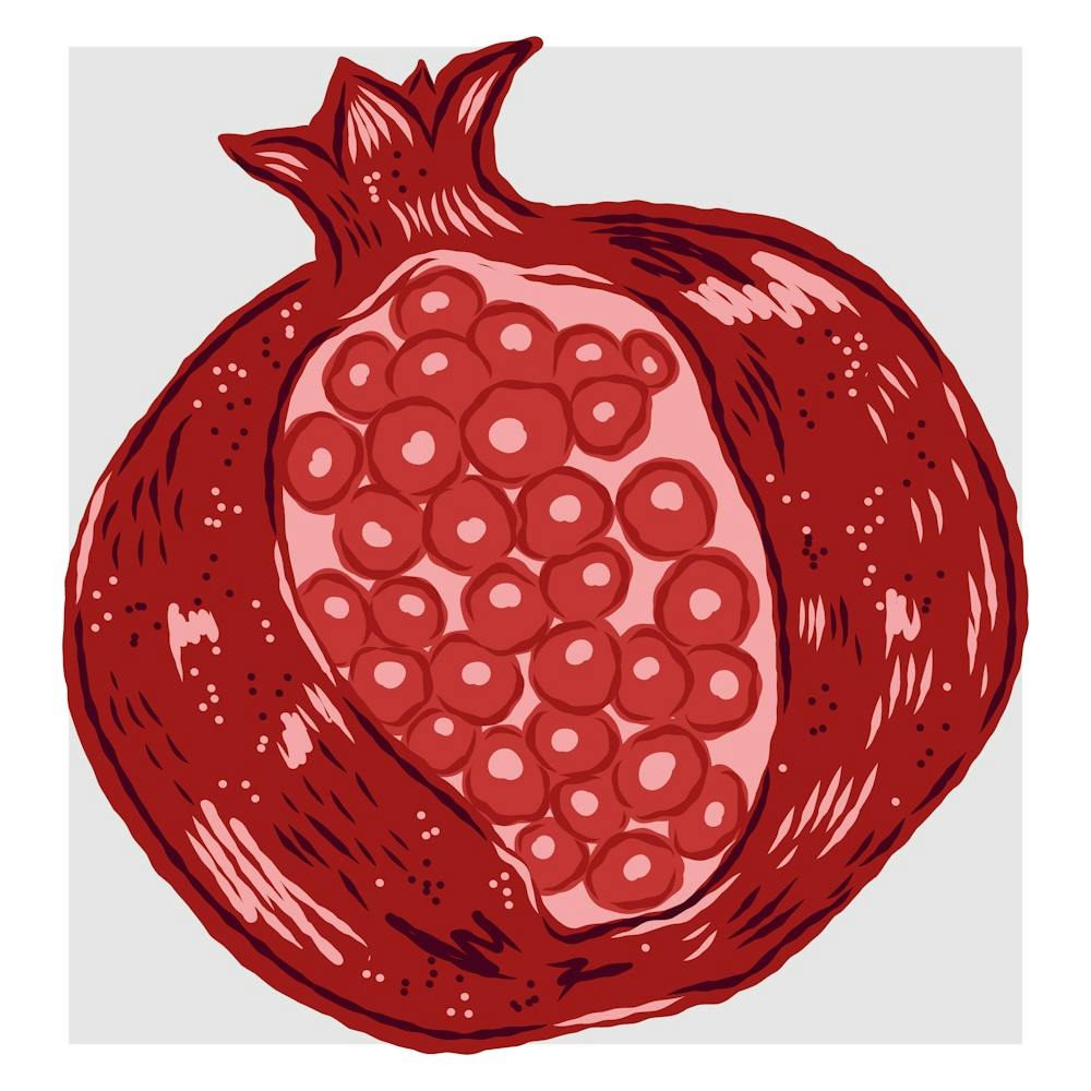 Pomegranate 3