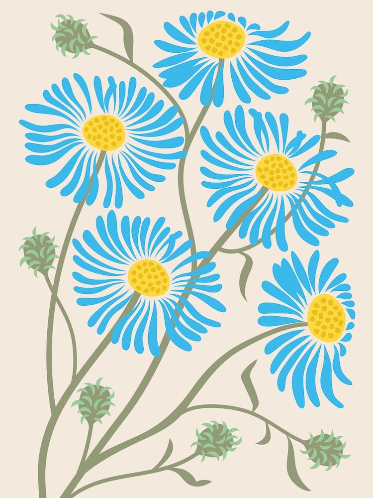 Blue Aster Floral Flowers