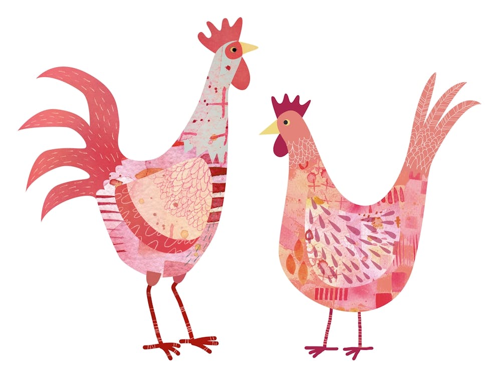 Hen and Rooster