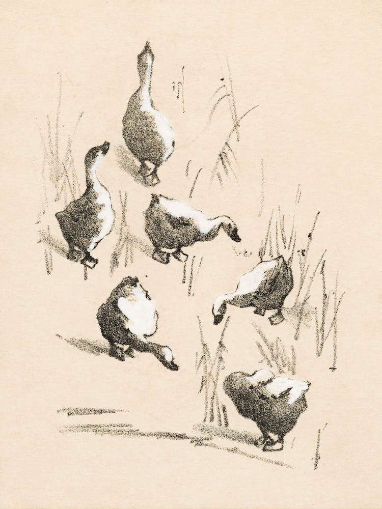 Greeting Card With Six Geese (1878–1917), Theo Van Hoytema