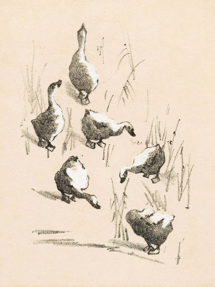 Greeting Card With Six Geese (1878–1917), Theo Van Hoytema