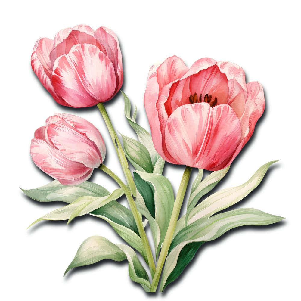 Tulip Trio Flower Art