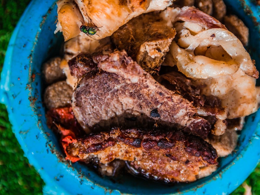Different Kinds Of Grilled Meat Pieces In Dog Food Bowl