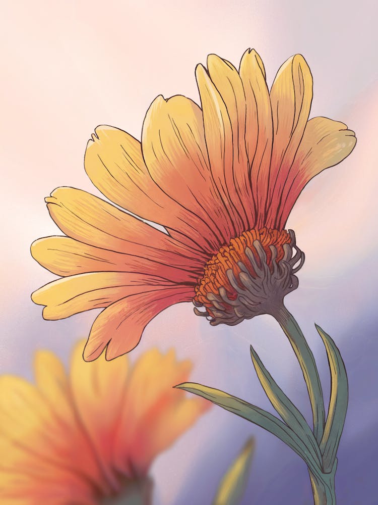 Cosmos