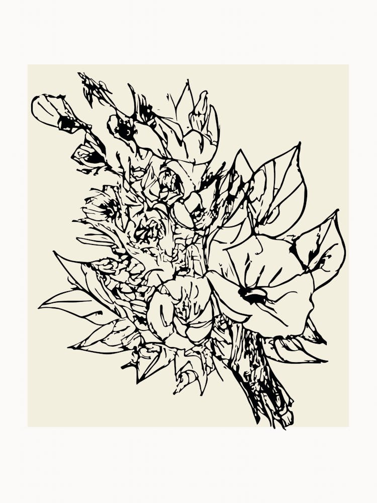 Botanica line no 20