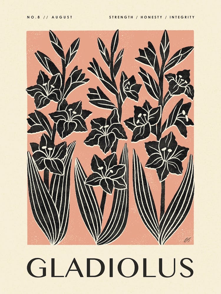 Rustic August Birth Flower Gladiolus Black Rose Pink