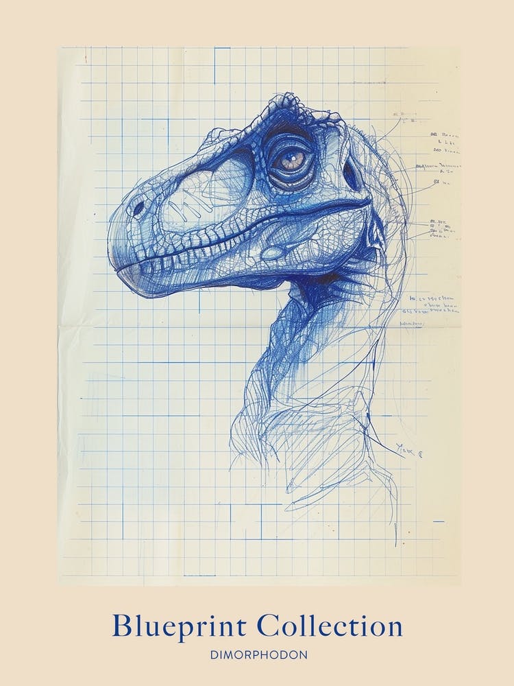 Dimorphodon Dinosaur Blue Print Style 1 Poster