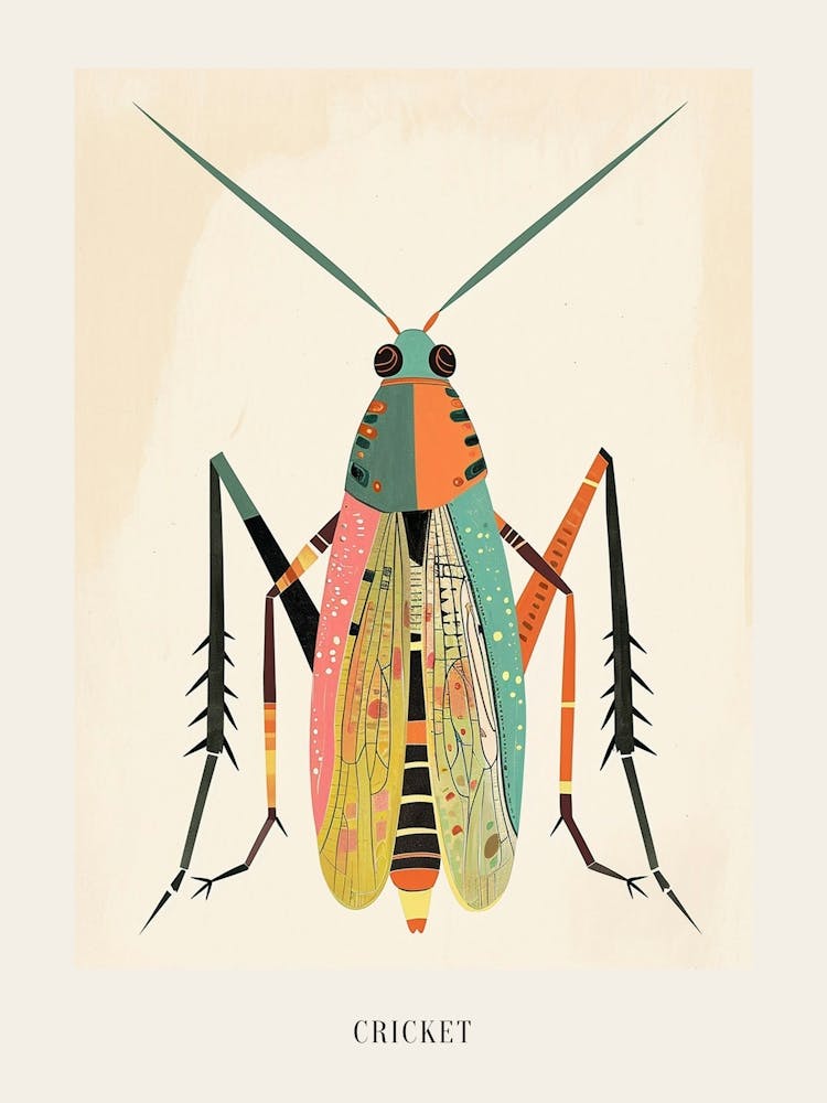 Colourful Insect Illustration Cricket 15 Poster