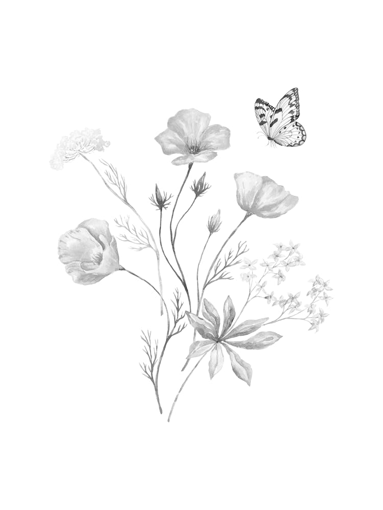 Poppies And Butterflies
