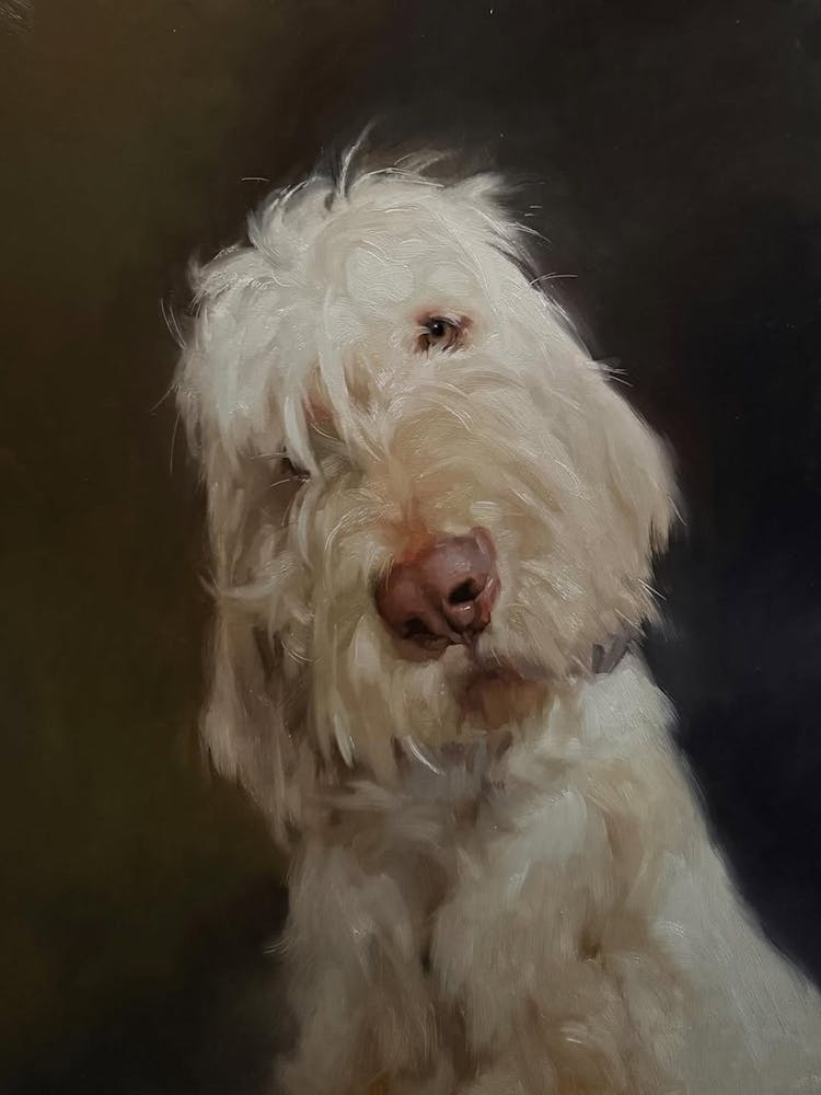 White Terrier