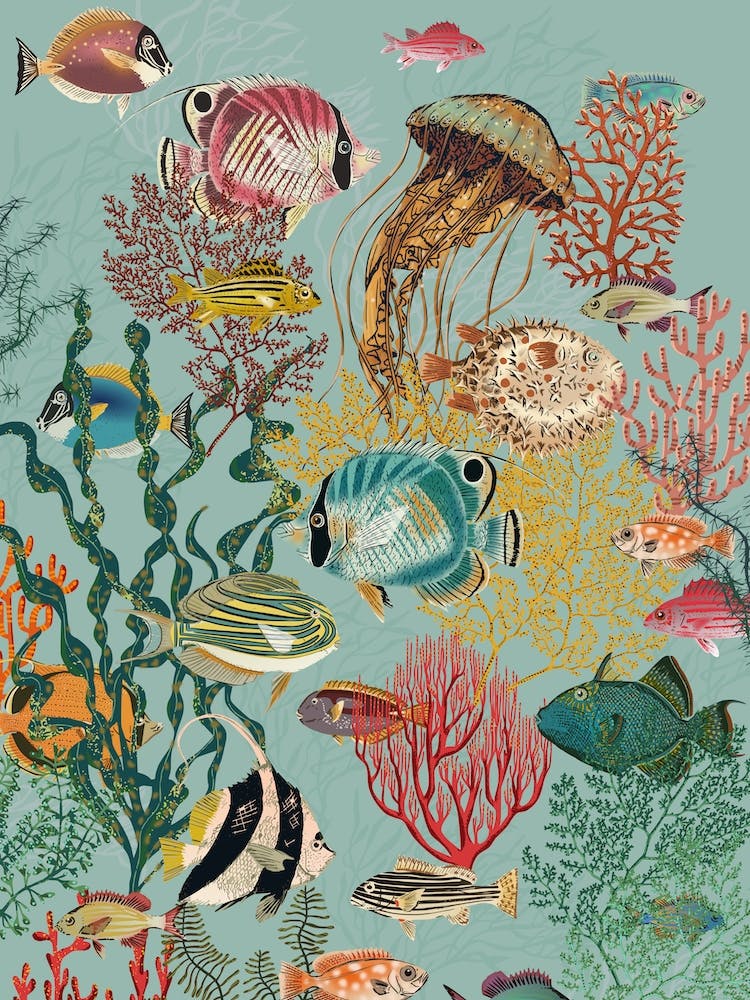 Coral Reef Deep Silence Teal
