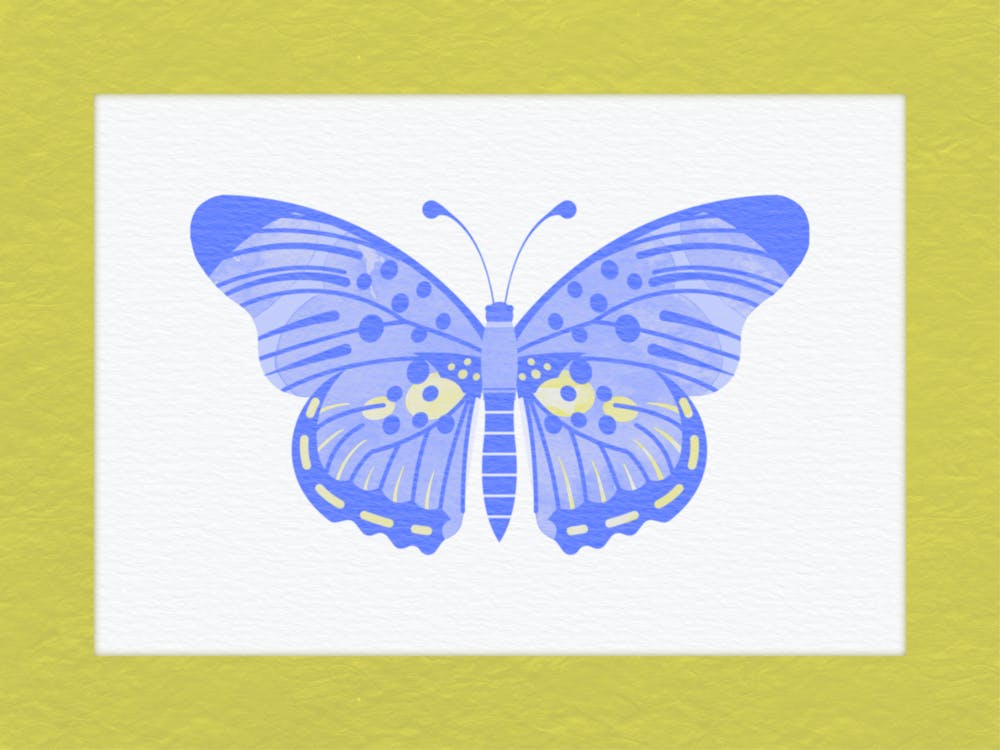 Blue Butterfly