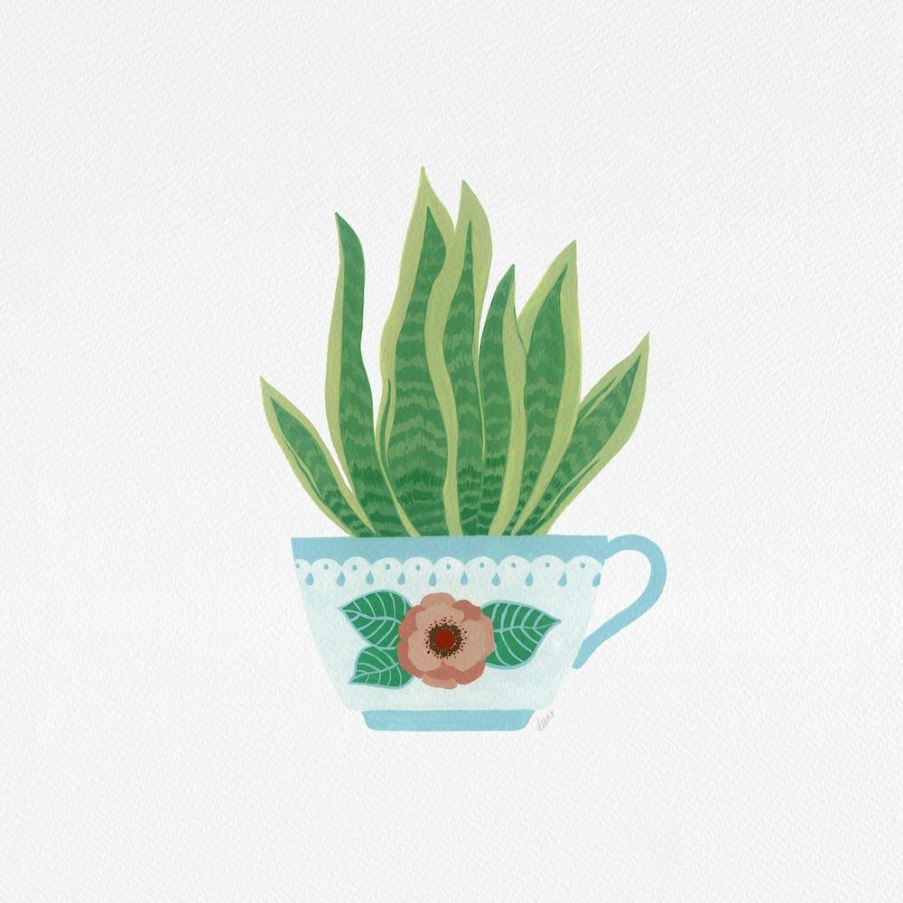 Sanseveria Houseplant Coffee Cup Painting