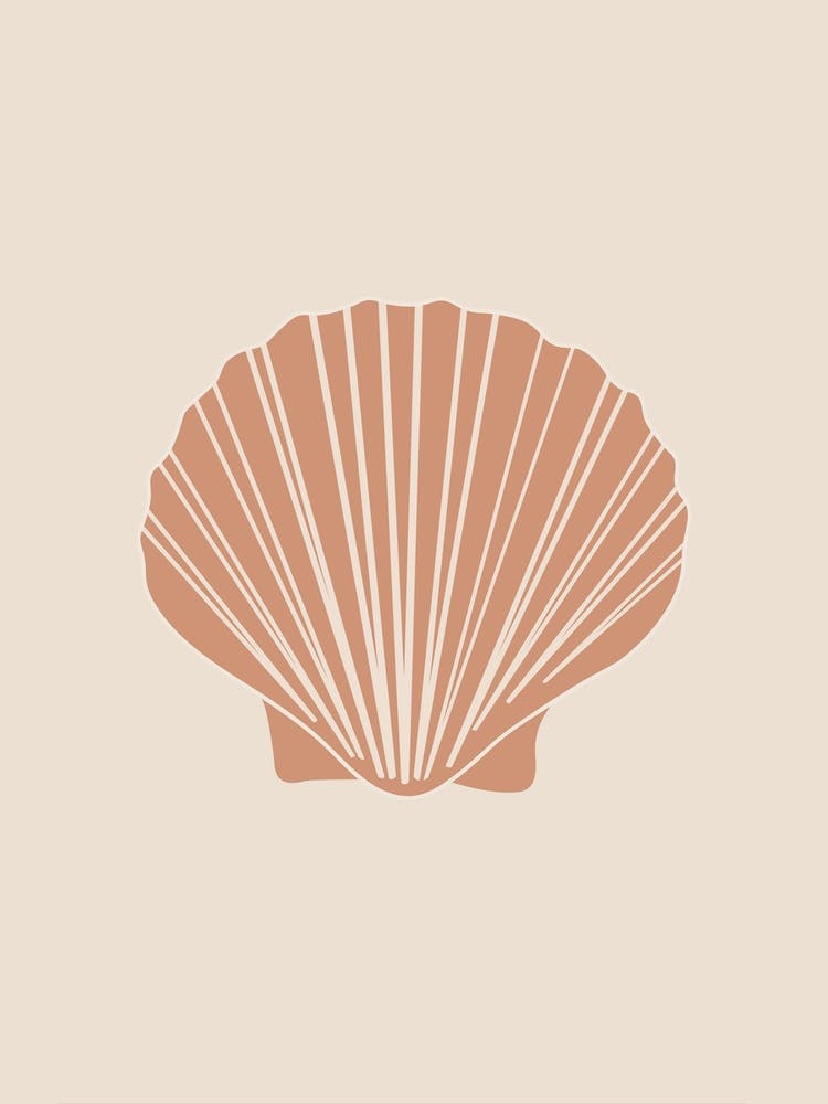 Shell Cutout Boho Bathroom Wall