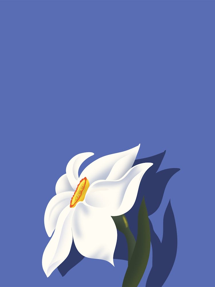 White Flower