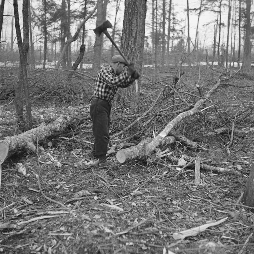Lumberjack,Forest County, Wisconsin By Russell Lee