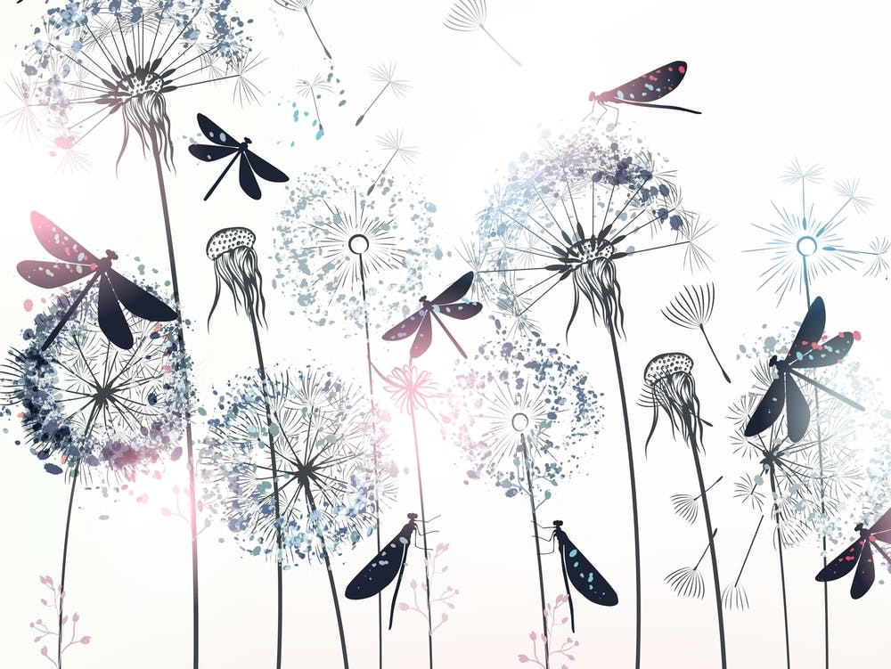 Dandelions and Dragonflies