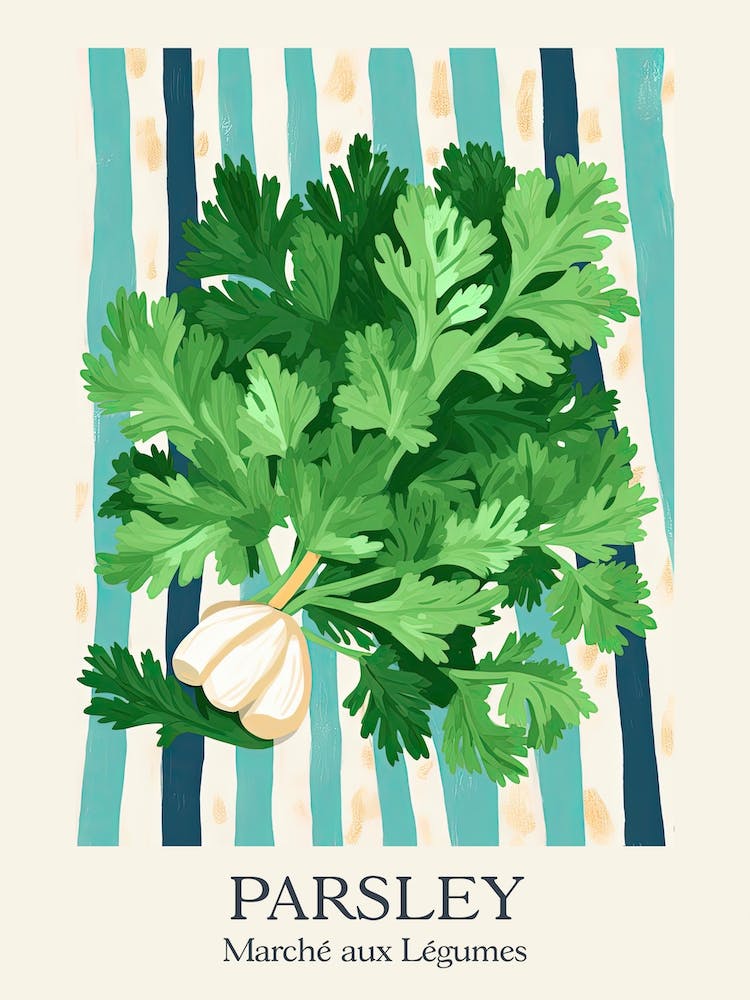 Marche Aux Legumes Parsley Summer Illustration 5