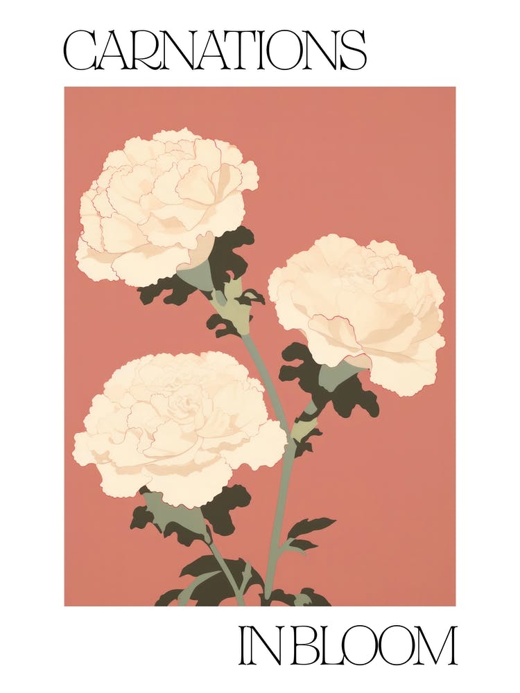 Carnations In Bloom Flowers Bold Illustration 4