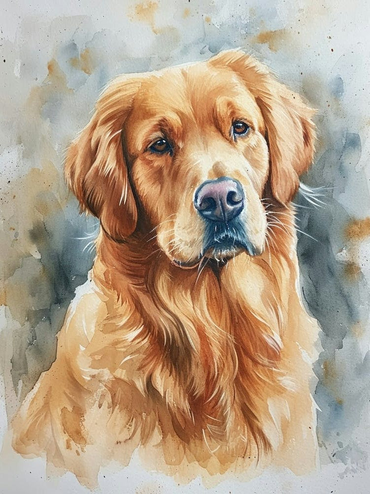 Golden Retriever Watercolor Painting 3