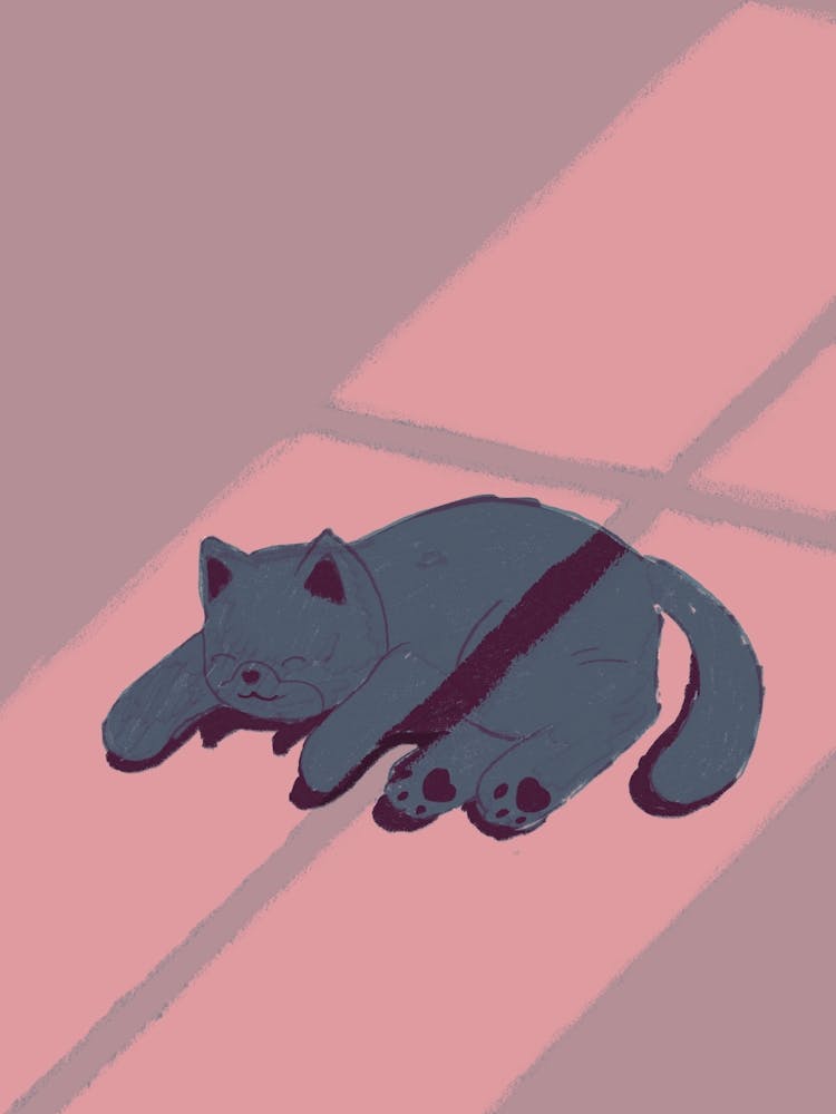 Cat Sleeping In The Sun Blue