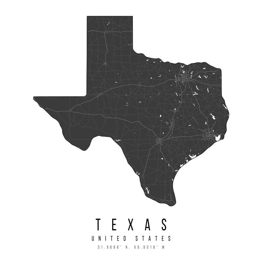 Texas Mono Black And White Modern Minimal Street Map Square