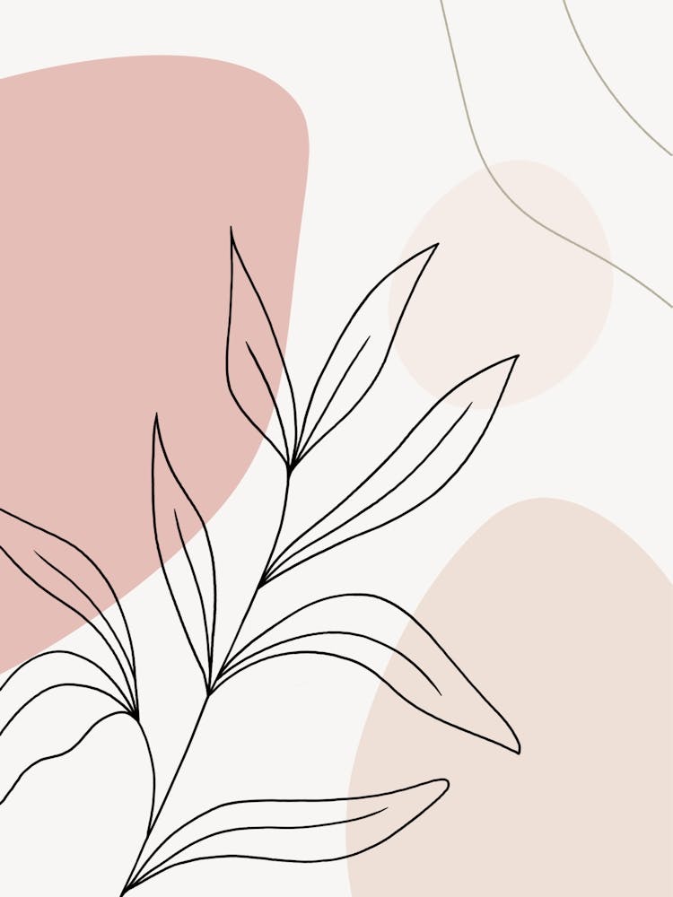 Pink Flower 1