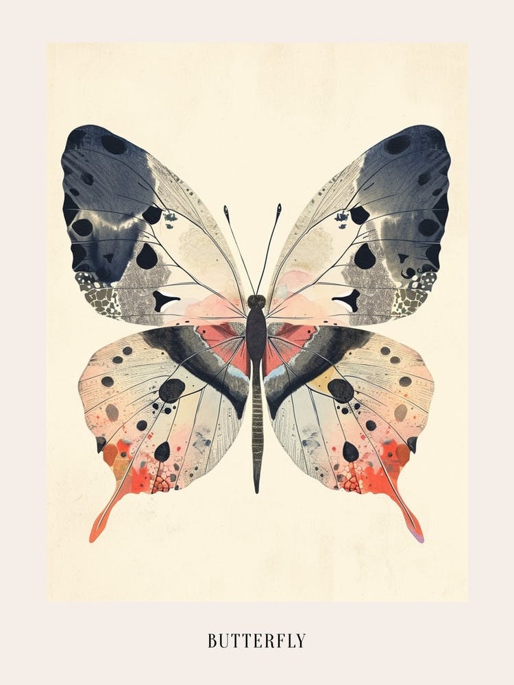 Colourful Insect Illustration Butterfly 32 Poster