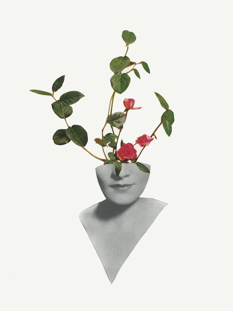 Wall Flower