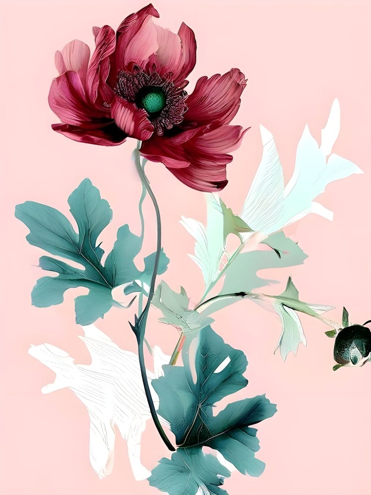 Anémone 6