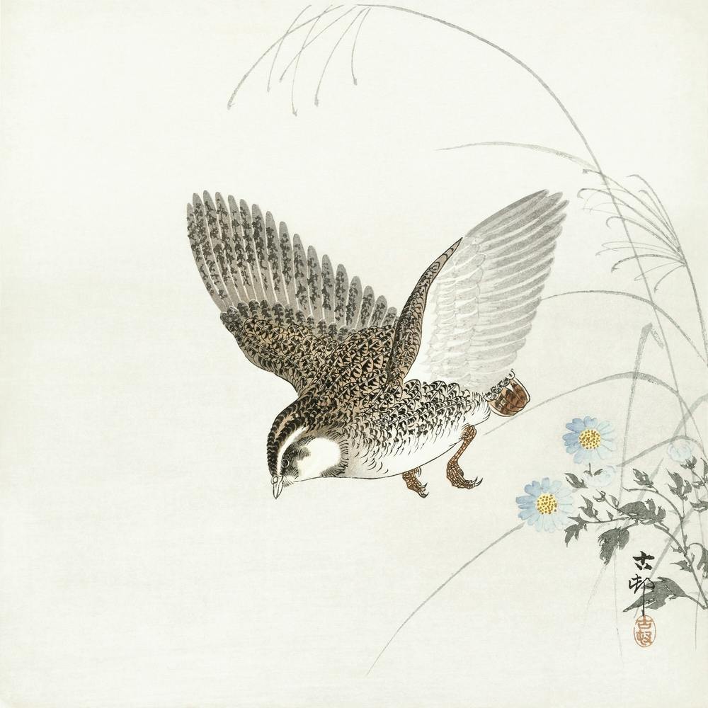Fliegende Wachtel (1900 1930), Ohara Koson