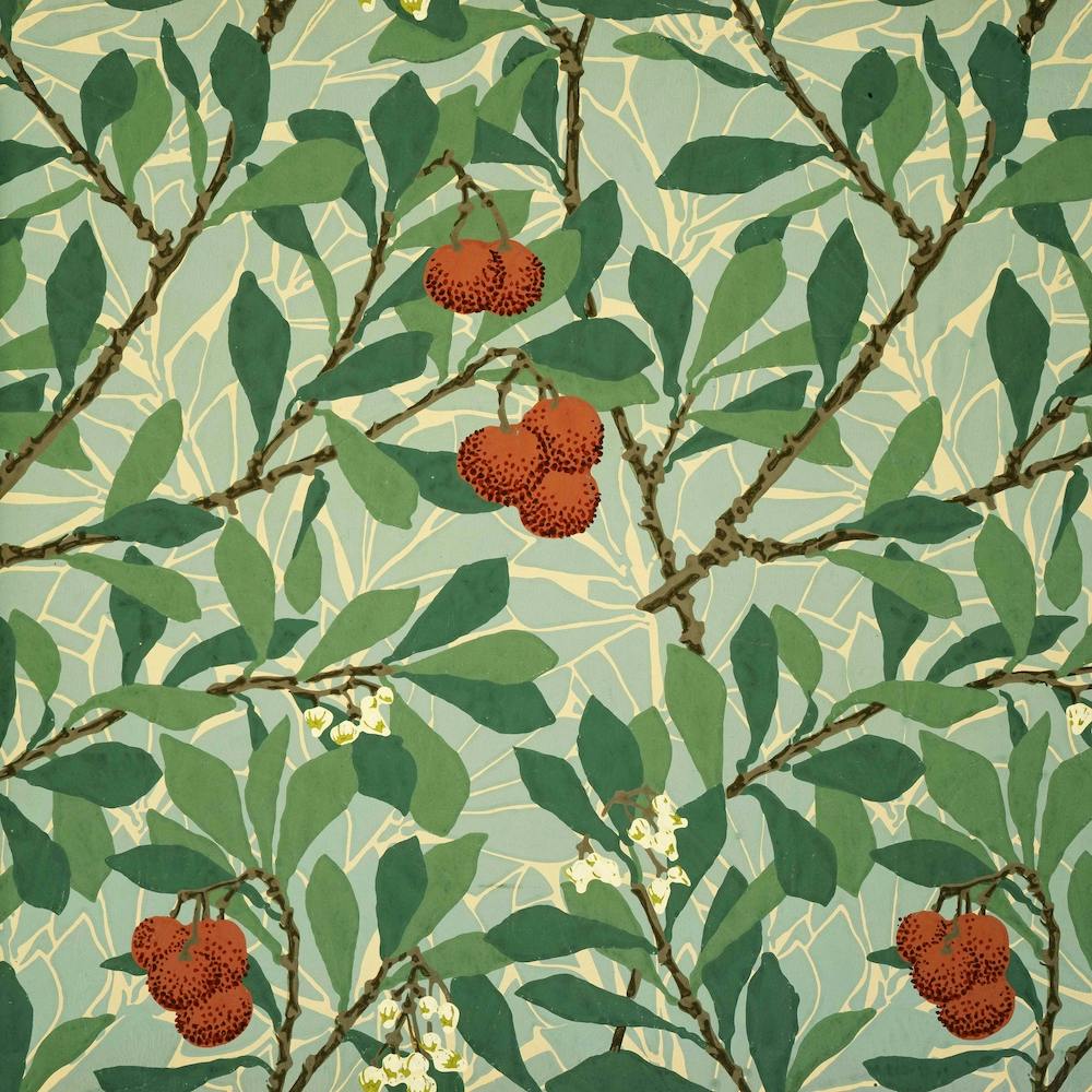 Arbutus, William Morris