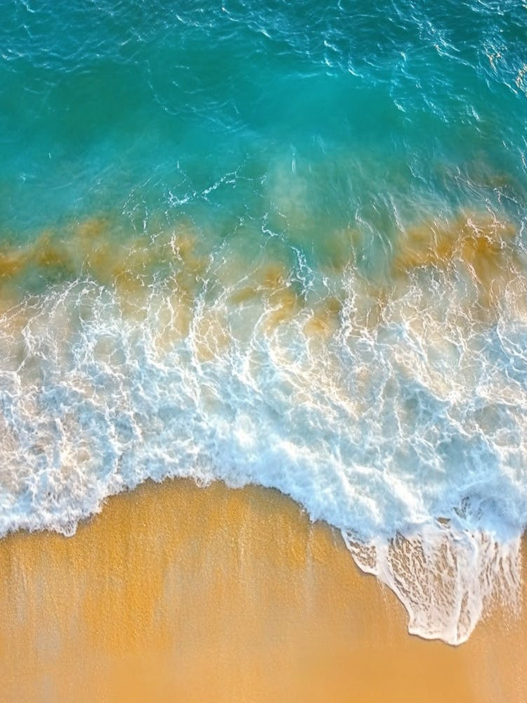 Aerial View Of The Beach 6