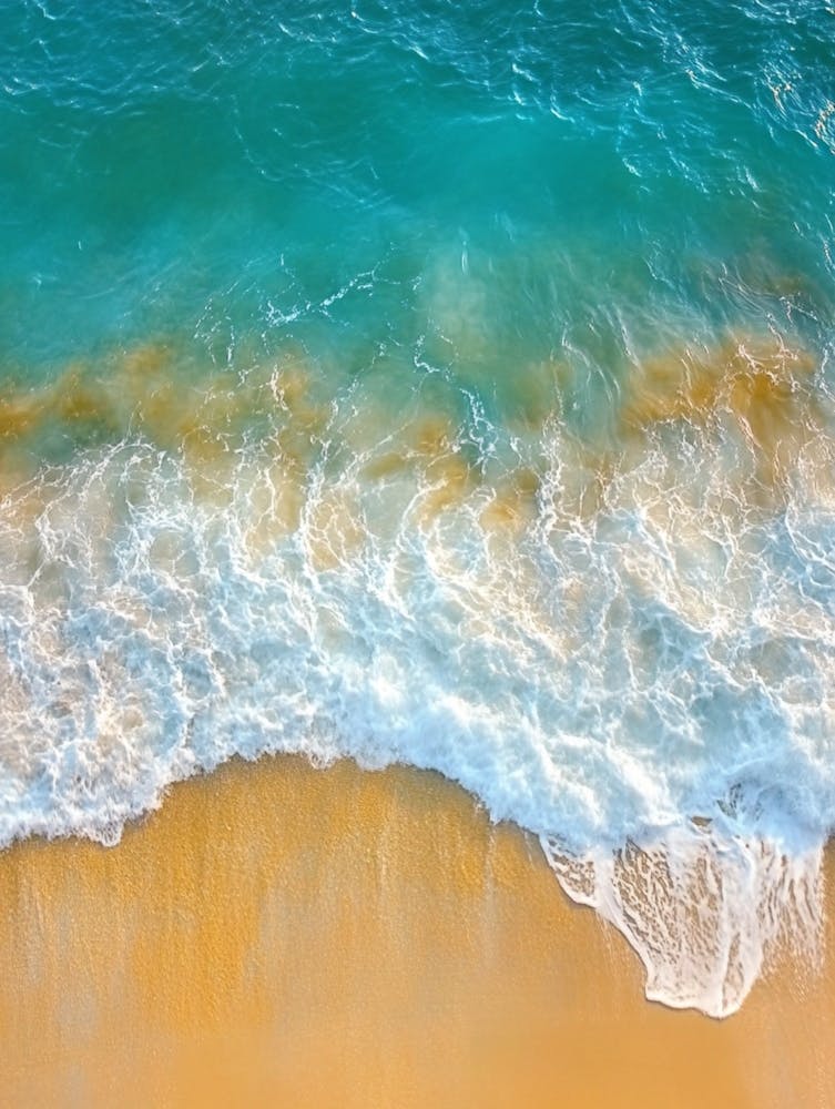 Aerial View Of The Beach 6