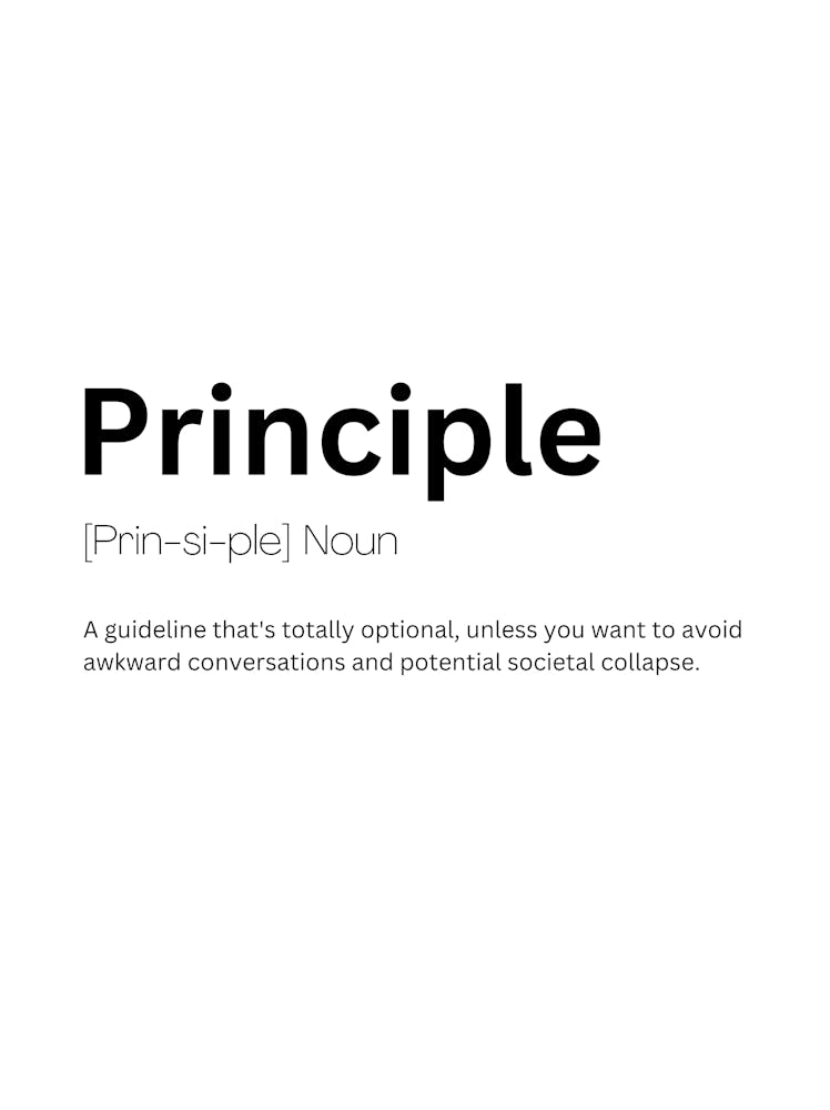 Principle Definition Meaning 1